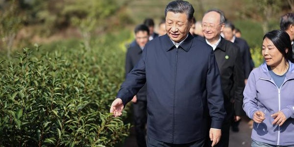 2021两会之后，习总书记考察第一站来到武夷山，关注茶产业