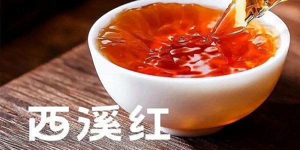 西溪红茶实属杭州的红茶滋味!